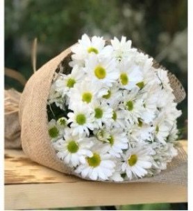 papatya buketi